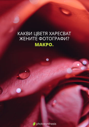 Денят на жената. (8-ми март)