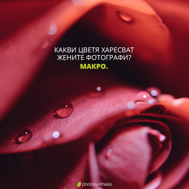 Денят на жената. (8-ми март)