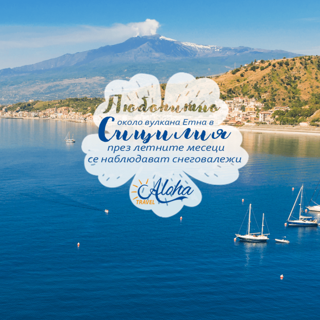 Curious_Sicily