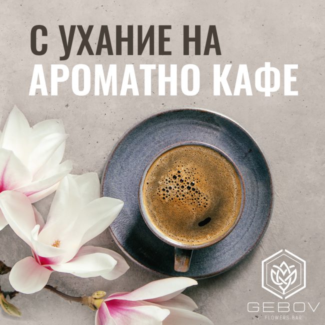 GEBOV_March_ImagePost 2
